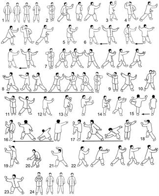 Thoracolumbar Rotation During Tai Chi Movements—A Biomechanical Analysis of the Entire Peking Style Routine